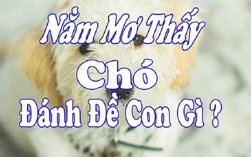 Nằm mơ thấy con chó nhật đánh con gì