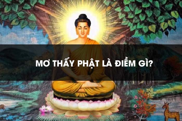 Ngủ Mơ Thấy Phật